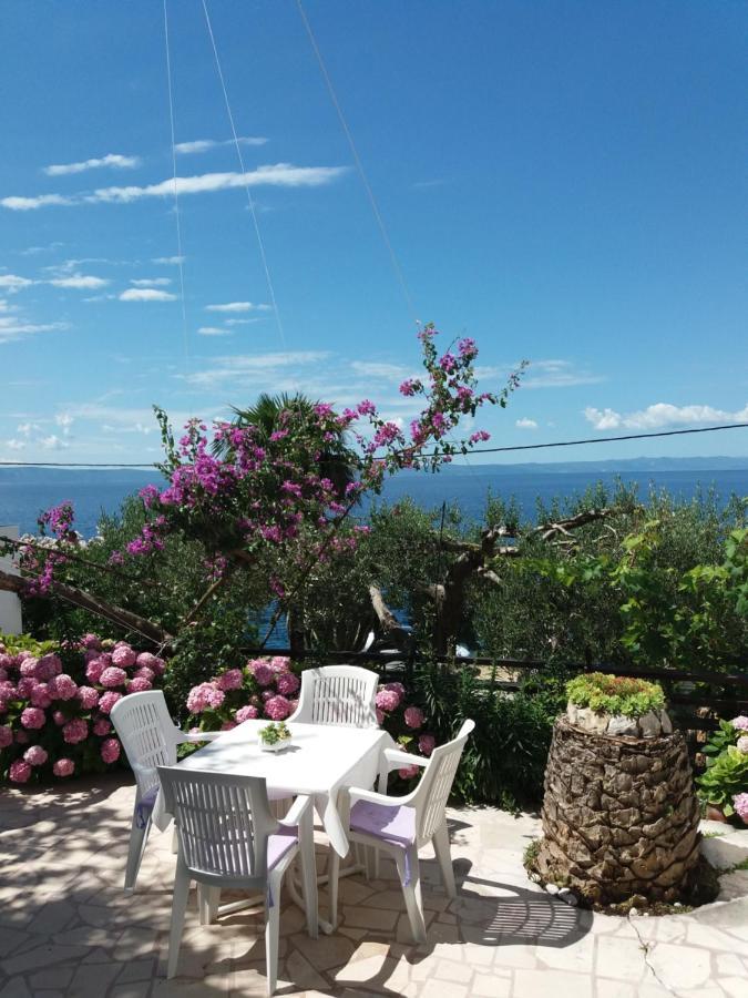 Apartment Hortenzija Baška Voda المظهر الخارجي الصورة