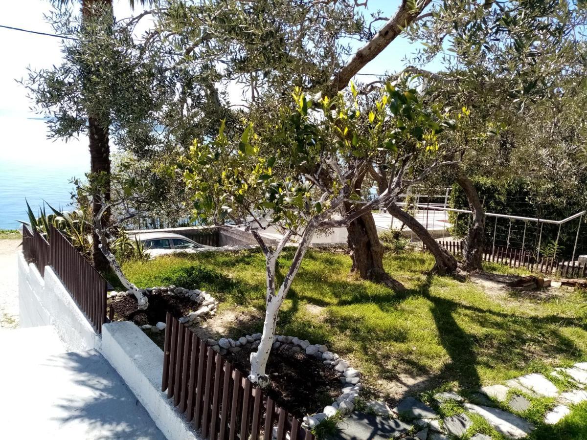 Apartment Hortenzija Baška Voda المظهر الخارجي الصورة