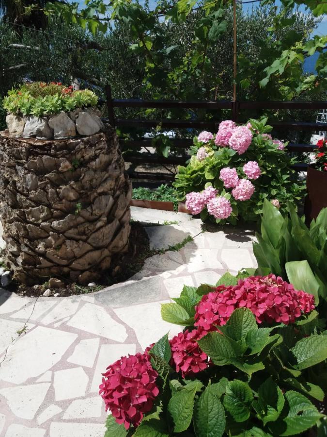 Apartment Hortenzija Baška Voda المظهر الخارجي الصورة